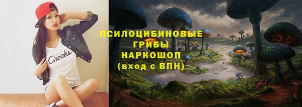 прущие грибы Михайлов