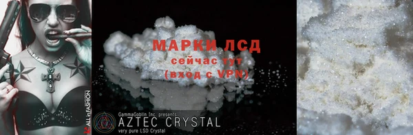 прущие грибы Михайлов