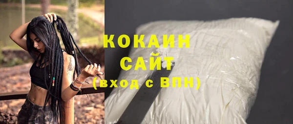 прущие грибы Михайлов