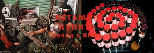 прущие грибы Михайлов