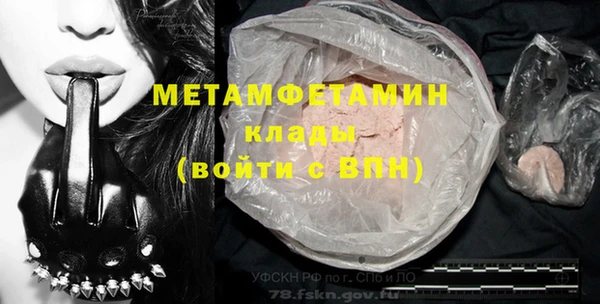 прущие грибы Михайлов