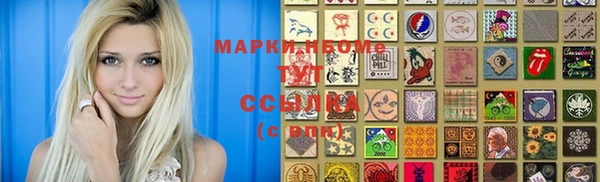 прущие грибы Михайлов