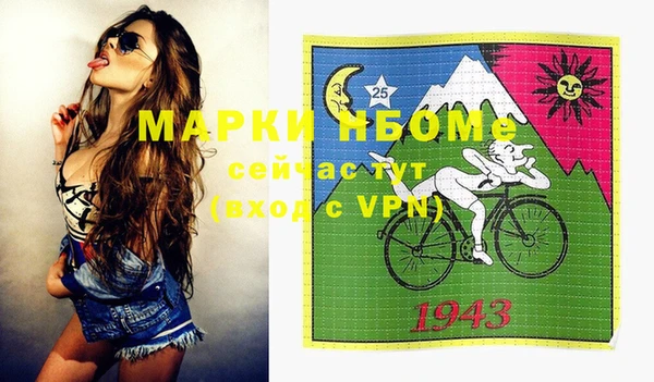 прущие грибы Михайлов