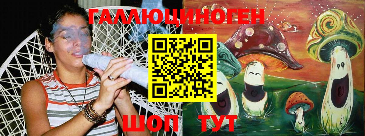 Галлюциногенные грибы Magic Shrooms  Вход с VPN  Карасук 